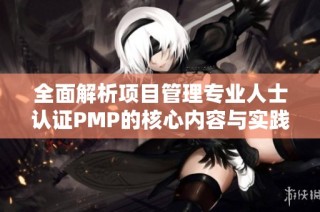 全面解析项目管理专业人士认证PMP的核心内容与实践技巧
