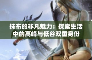 抹布的非凡魅力：探索生活中的高峰与低谷双重身份
