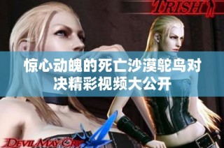 惊心动魄的死亡沙漠鸵鸟对决精彩视频大公开