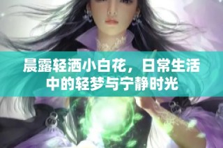 晨露轻洒小白花，日常生活中的轻梦与宁静时光