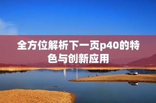 全方位解析下一页p40的特色与创新应用