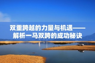 双重跨越的力量与机遇——解析一马双跨的成功秘诀