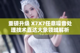 重磅升级 X7X7任意噪音处理技术直达大象领域解析