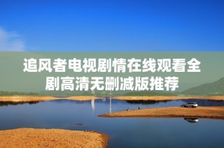 追风者电视剧情在线观看全剧高清无删减版推荐