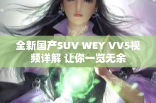 全新国产SUV WEY VV5视频详解 让你一览无余