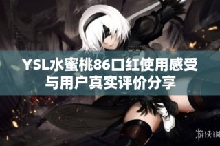 YSL水蜜桃86口红使用感受与用户真实评价分享