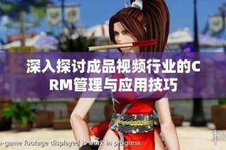 深入探讨成品视频行业的CRM管理与应用技巧