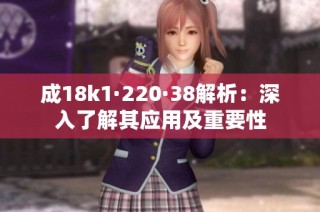 成18k1·220·38解析：深入了解其应用及重要性