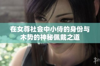 在女尊社会中小侍的身份与木势的神秘佩戴之道