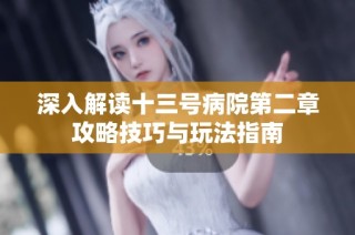 深入解读十三号病院第二章攻略技巧与玩法指南