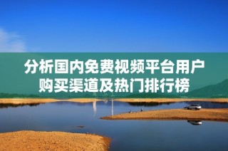 分析国内免费视频平台用户购买渠道及热门排行榜