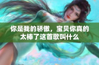 你是我的骄傲，宝贝你真的太棒了这首歌叫什么