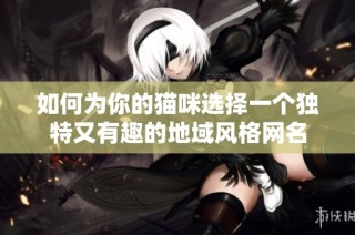 如何为你的猫咪选择一个独特又有趣的地域风格网名