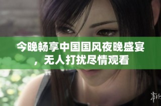 今晚畅享中国国风夜晚盛宴，无人打扰尽情观看