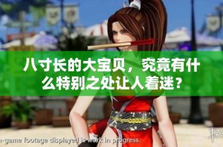 八寸长的大宝贝，究竟有什么特别之处让人着迷？