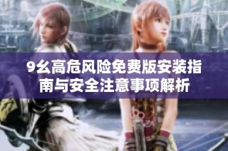9幺高危风险免费版安装指南与安全注意事项解析