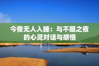 今夜无人入睡：与不眠之夜的心灵对话与感悟