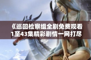 《巡回检察组全剧免费观看 1至43集精彩剧情一网打尽》