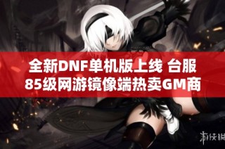 全新DNF单机版上线 台服85级网游镜像端热卖GM商城点卷
