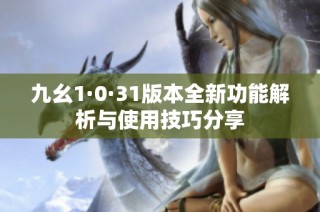 九幺1·0·31版本全新功能解析与使用技巧分享