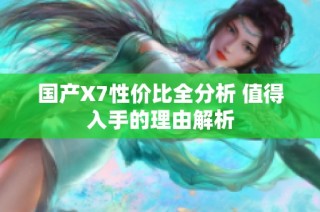 国产X7性价比全分析 值得入手的理由解析
