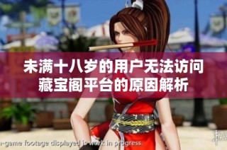 未满十八岁的用户无法访问藏宝阁平台的原因解析