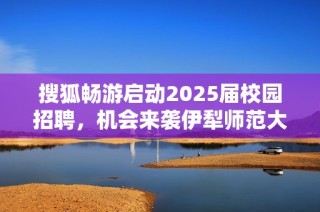 搜狐畅游启动2025届校园招聘，机会来袭伊犁师范大学毕业生