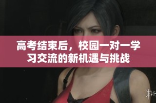 高考结束后，校园一对一学习交流的新机遇与挑战