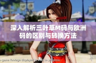 深入解析三叶草M码与欧洲码的区别与转换方法