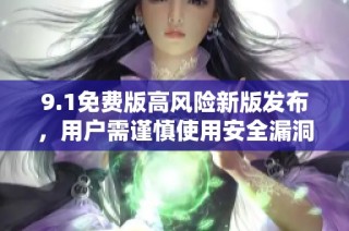 9.1免费版高风险新版发布，用户需谨慎使用安全漏洞指南