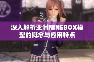 深入解析亚洲NINEBOX模型的概念与应用特点