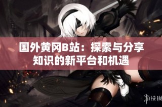 国外黄冈B站：探索与分享知识的新平台和机遇