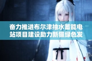 奋力推进布尔津抽水蓄能电站项目建设助力新疆绿色发展