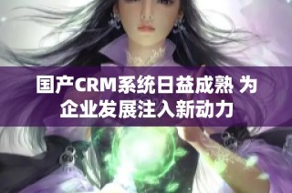 国产CRM系统日益成熟 为企业发展注入新动力