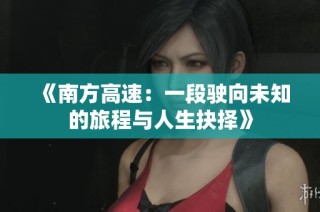 《南方高速：一段驶向未知的旅程与人生抉择》