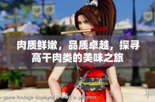 肉质鲜嫩，品质卓越，探寻高干肉类的美味之旅