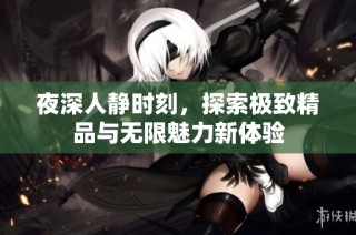夜深人静时刻，探索极致精品与无限魅力新体验
