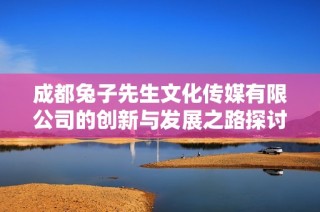 成都兔子先生文化传媒有限公司的创新与发展之路探讨