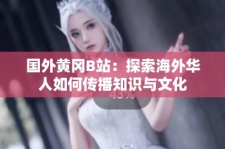 国外黄冈B站：探索海外华人如何传播知识与文化