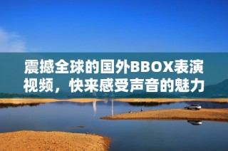 震撼全球的国外BBOX表演视频，快来感受声音的魅力！