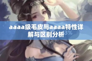 aaaa级毛皮与aaaa特性详解与区别分析