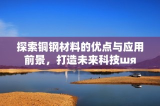 探索铜钢材料的优点与应用前景，打造未来科技шя
