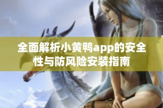 全面解析小黄鸭app的安全性与防风险安装指南