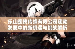 乐山蜜桃传媒有限公司蓬勃发展中的新机遇与挑战解析