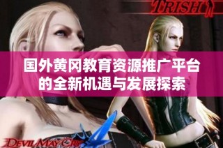 国外黄冈教育资源推广平台的全新机遇与发展探索