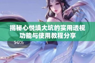 揭秘心悦填大坑的实用透视功能与使用教程分享