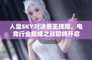 人皇SKY对决兽王技院，电竞行业巅峰之战即将开启