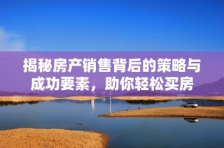 揭秘房产销售背后的策略与成功要素，助你轻松买房