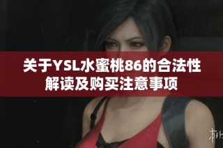 关于YSL水蜜桃86的合法性解读及购买注意事项