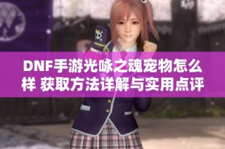 DNF手游光咏之魂宠物怎么样 获取方法详解与实用点评